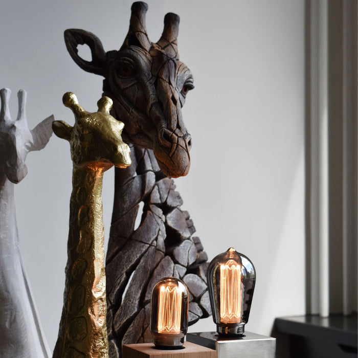 304160-x1.jpg (1468766) 