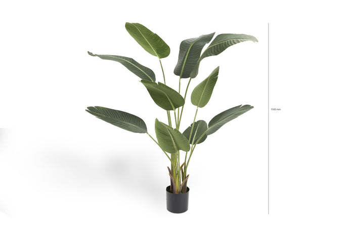 256328ad-4c59-468c-8f51-af401f6a2fcd-afbeelding4.jpg (1488549) 