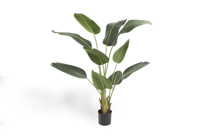 256328ad-4c59-468c-8f51-af401f6a2fcd-afbeelding5.jpg (1488550) 