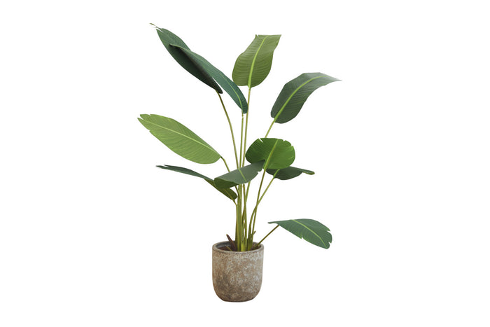 256328ad-4c59-468c-8f51-af401f6a2fcd-sfeerbeeld.jpg (1488552) 