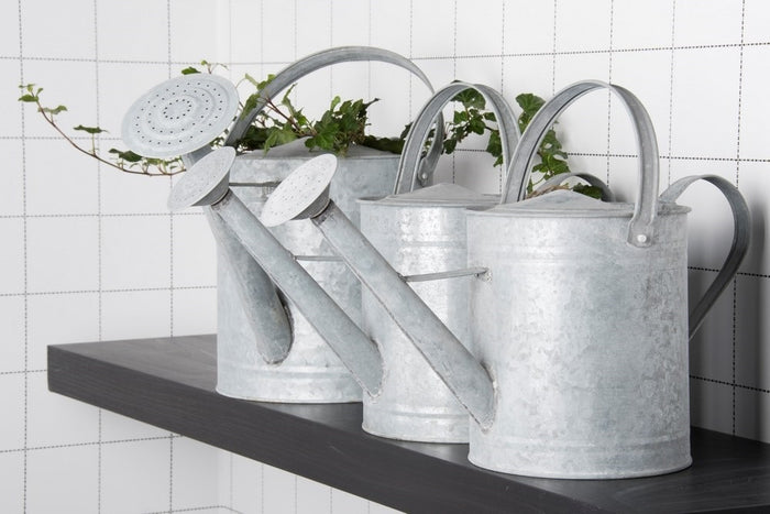Esschert Design Gieter Zink - 8,7 Liter