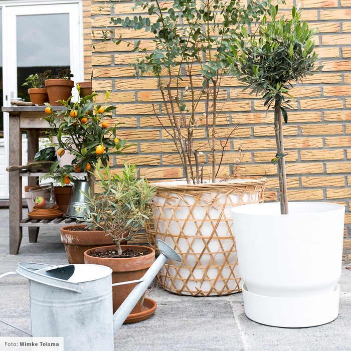Esschert Design Gieter Zink - 8,7 Liter