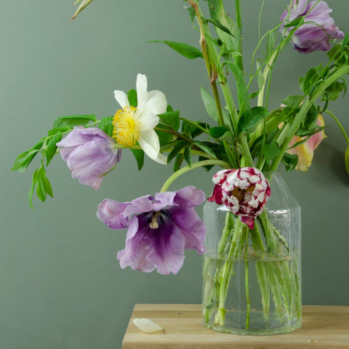 Home Delight - Vaas Elma transparant