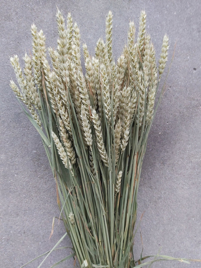 84deb84e-f622-4dcb-8b18-45a62ef0790d-sfeerbeeld.jpg (1541467) 