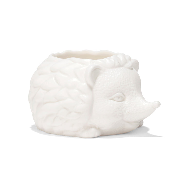 249203-x2.jpg (1549094) 