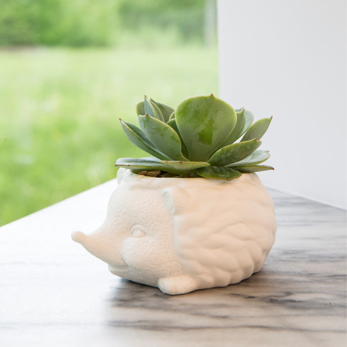 249203-x4.jpg (1549096) 