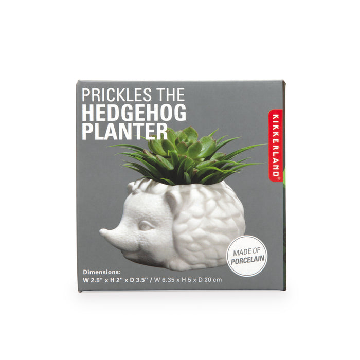 249203-x5.jpg (1549097) 