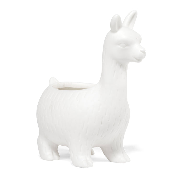 249204-x2.jpg (1551312) 