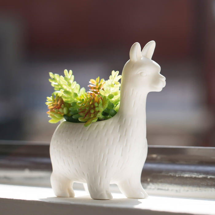 249204-x4.jpg (1551314) 