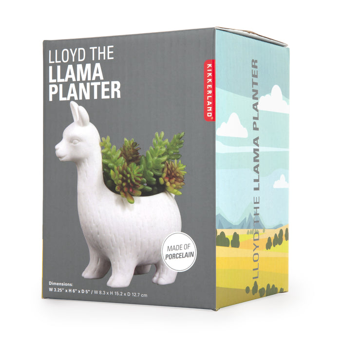 249204-x6.jpg (1551316) 