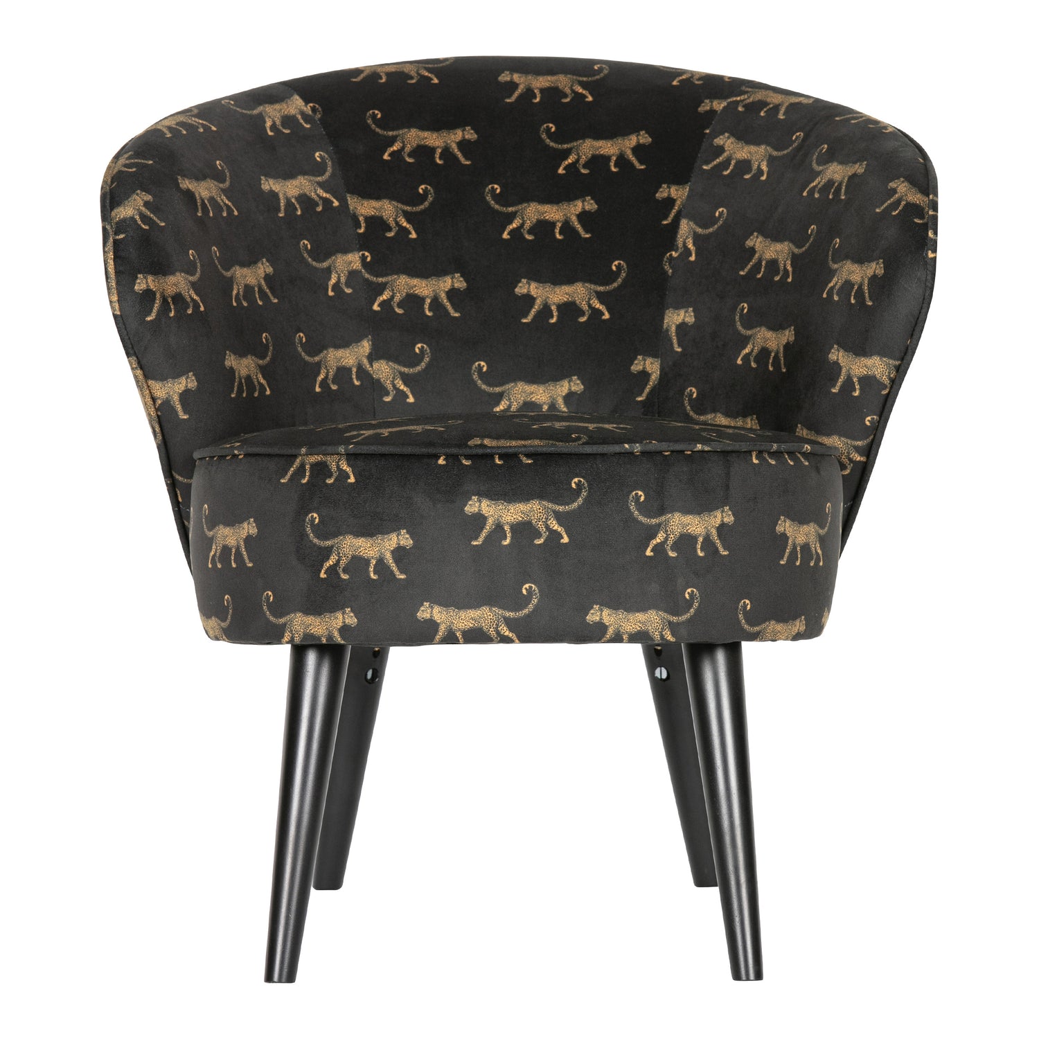 294210-x0.jpg (1564325) 