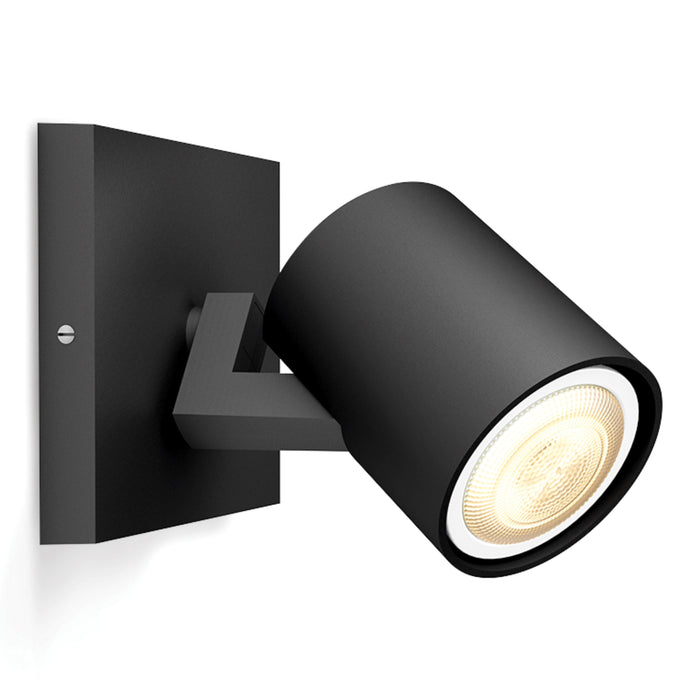 309213-x01.jpg (1572338) 