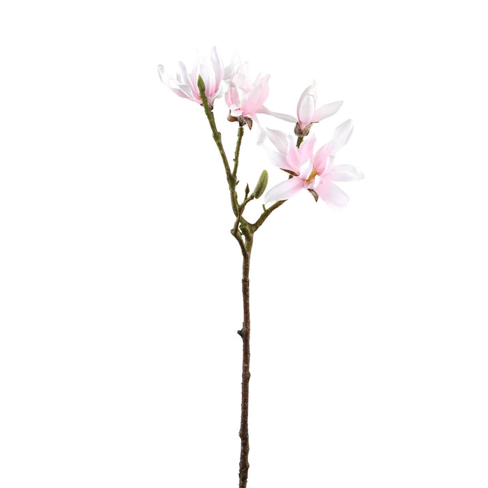 PTMD Magnolia Flower Japanse Magnolia Kunsttak - 23x23x63 cm - Roze