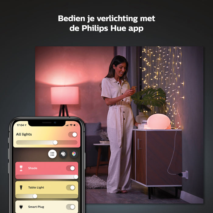Philips Hue  Stekker
