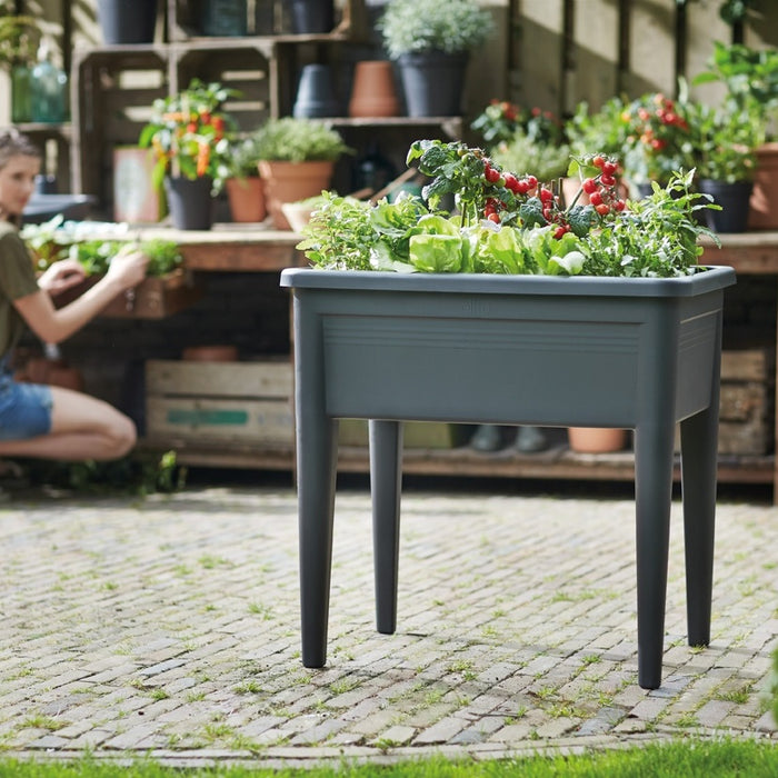 Elho Green Basics Kweektafel Super XXL