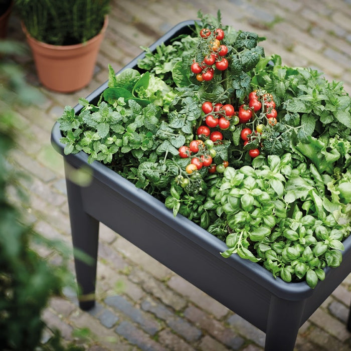 Elho Green Basics Kweektafel Super XXL