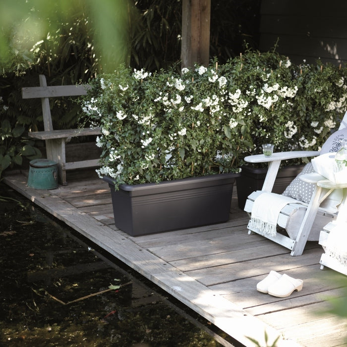 192222-2.jpg (1589668) 