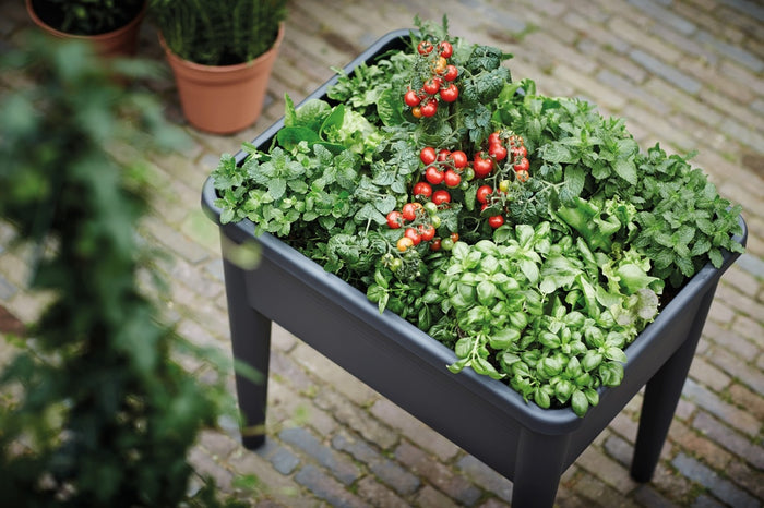 elho Green Basics Kweektafel Super XXL
