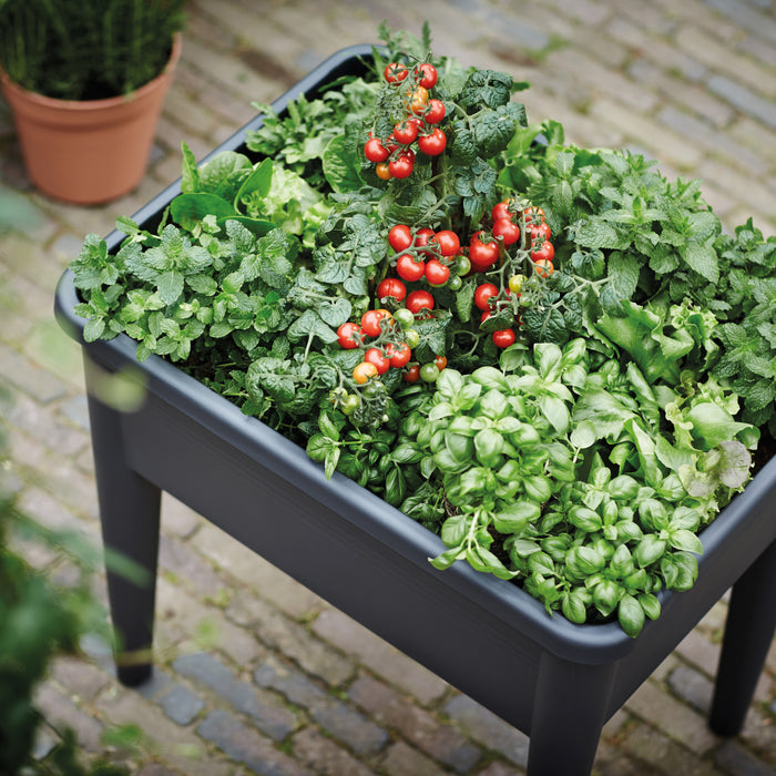 elho Green Basics Kweektafel Super XXL