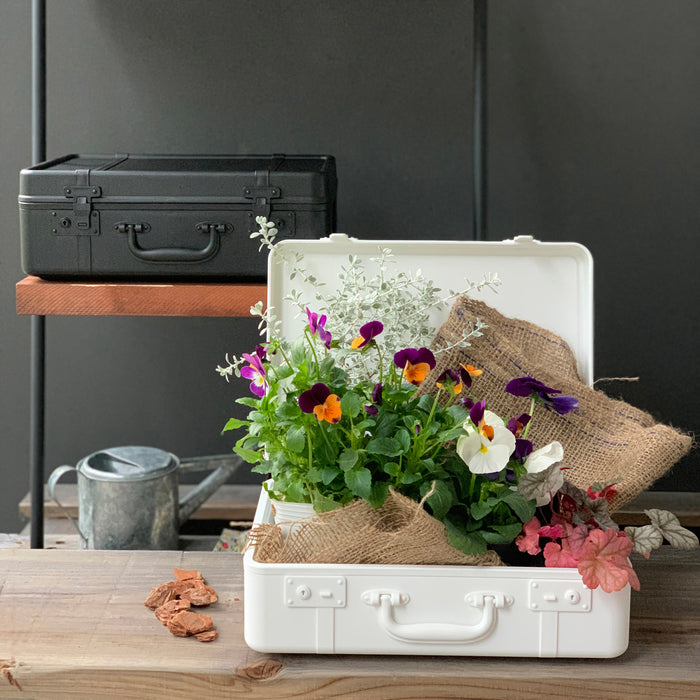 292228-x3.jpg (1602826) 