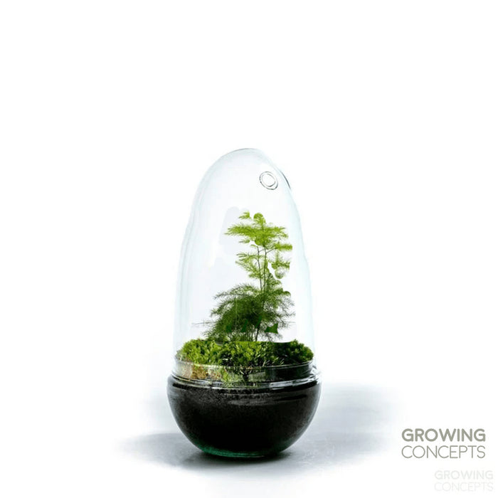 0fa7205b-a232-4622-b9d1-d03c0223940b-afbeelding9.jpg (1620944) 