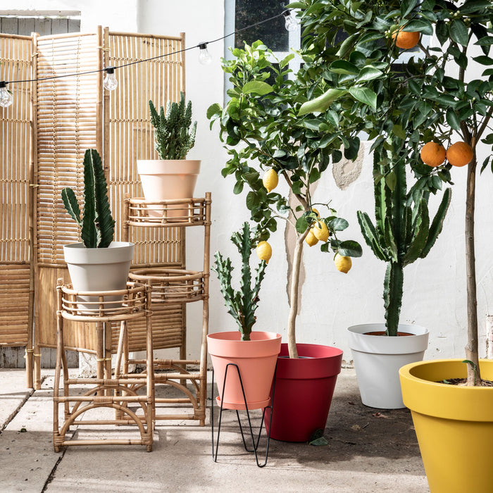 Elho Pure Round Bloempot Ø 50 cm - Geel