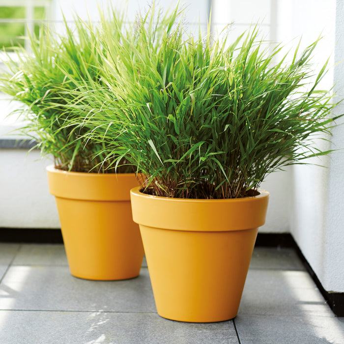 Elho Pure Round Bloempot Ø 50 cm - Geel