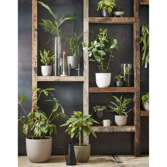 Mica Decorations Gieter zwart