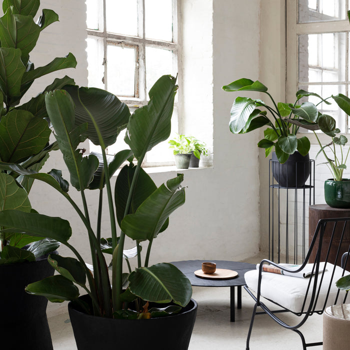 SERAX - Plantenstandaard Vasaro M