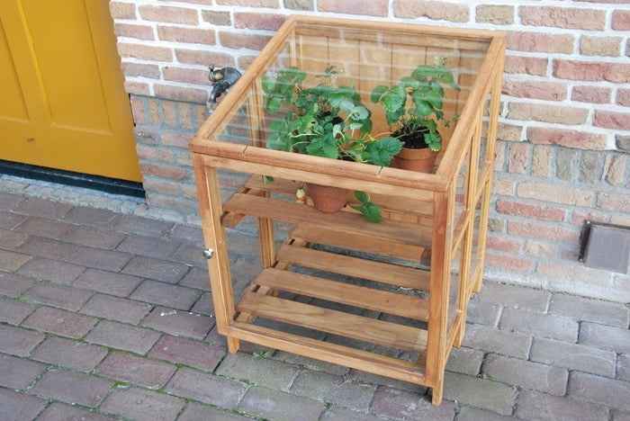 Esschert FSC Hardhouten Kweekkas