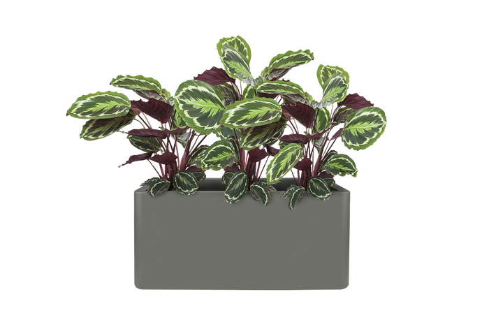 Elho Pure Soft Brick Long Plantenbak 80 cm