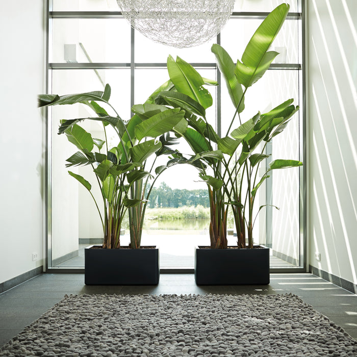 Elho Pure Soft Brick Long Plantenbak 80 cm