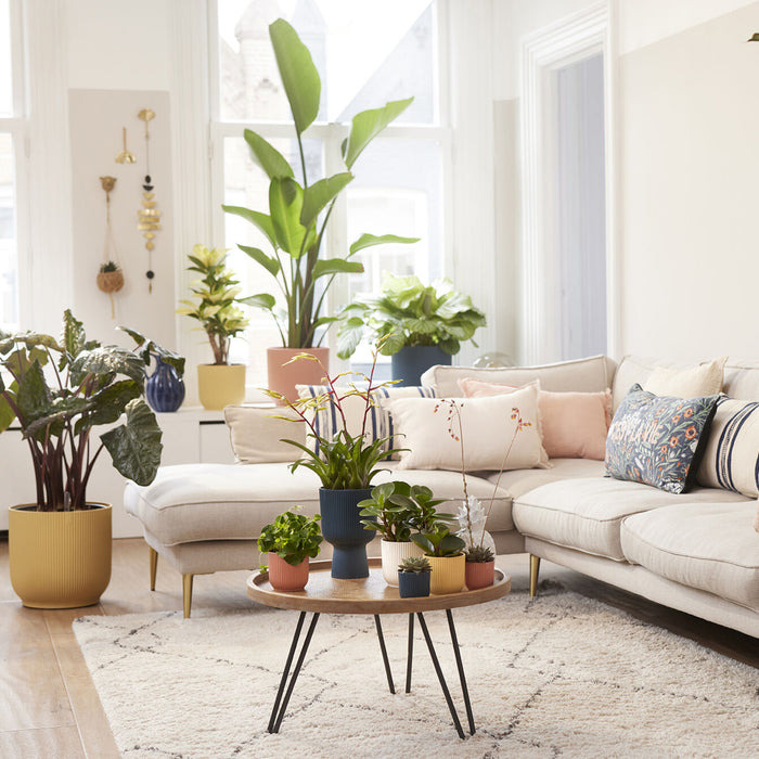 306273-x08.jpg (1700535) 