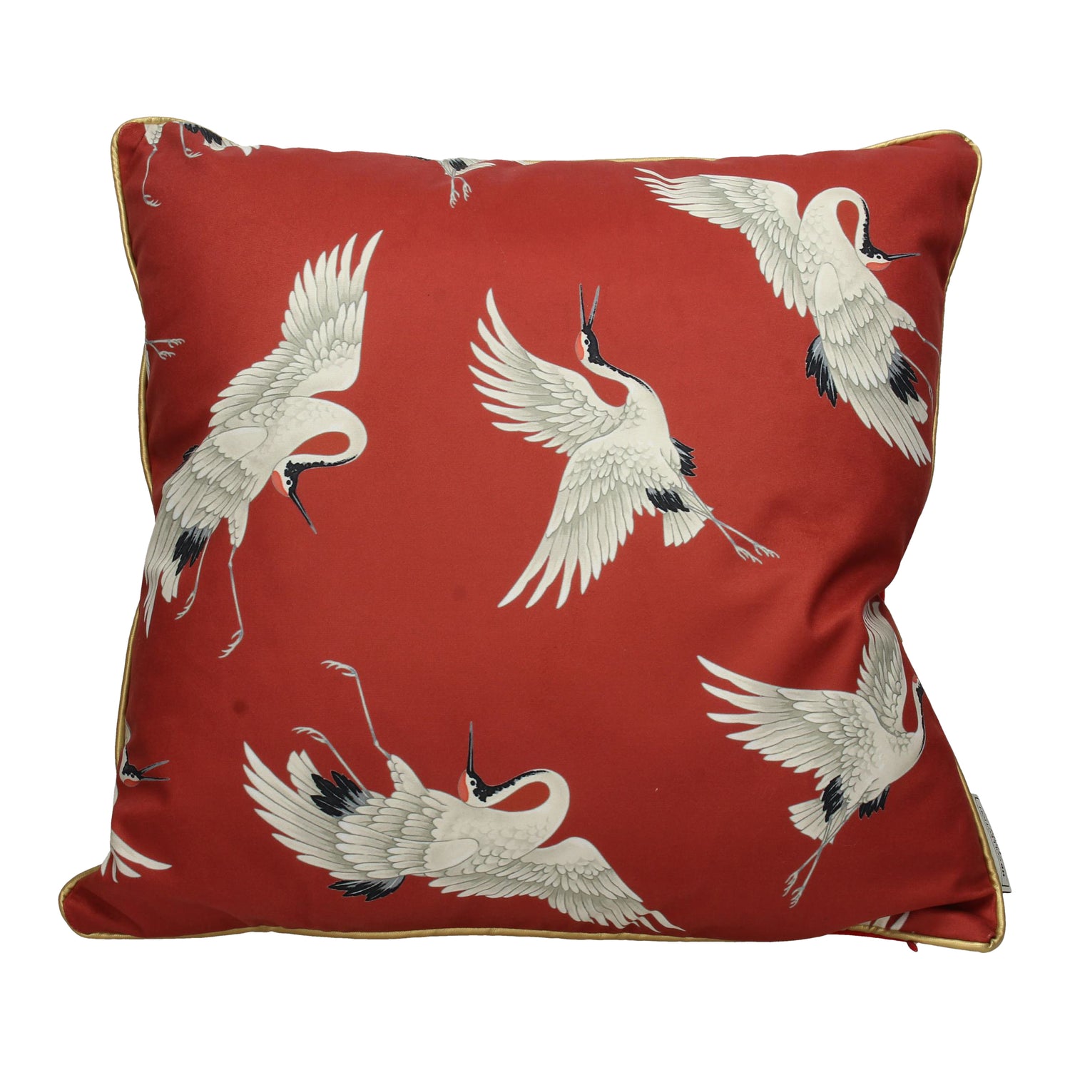 294276-x0.jpg (1705088) 