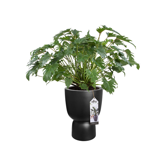 elho Pure Coupe Bloempot Ø 35 cm