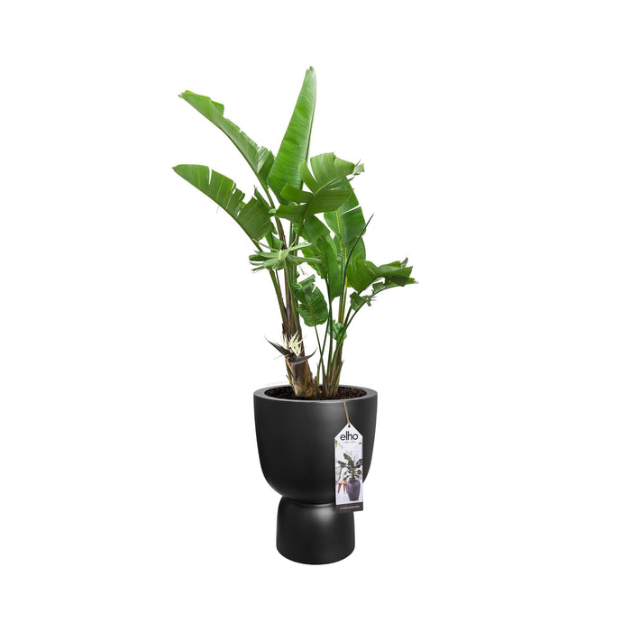 elho Pure Coupe Bloempot Ø 41 cm - Black