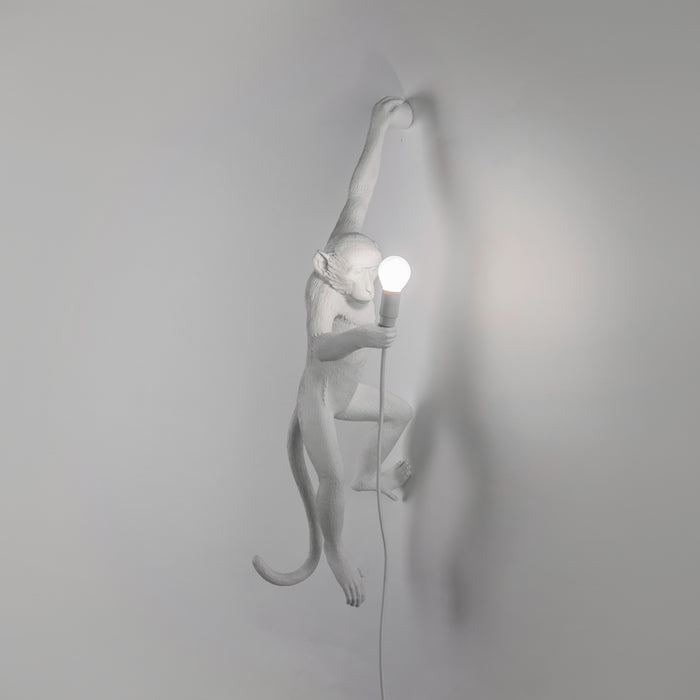 Seletti Monkey Outdoor Lampresin Hanging