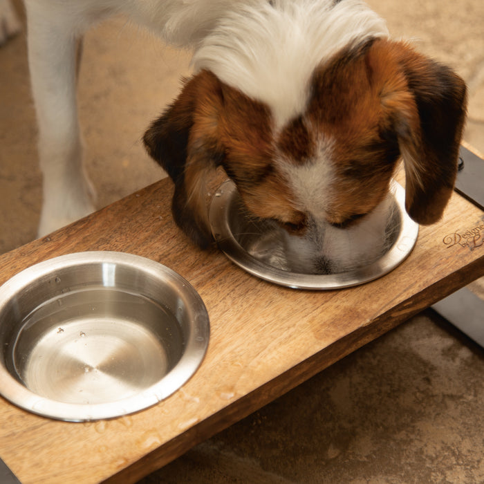 Designed by Lotte Karinto Voerbak Hond