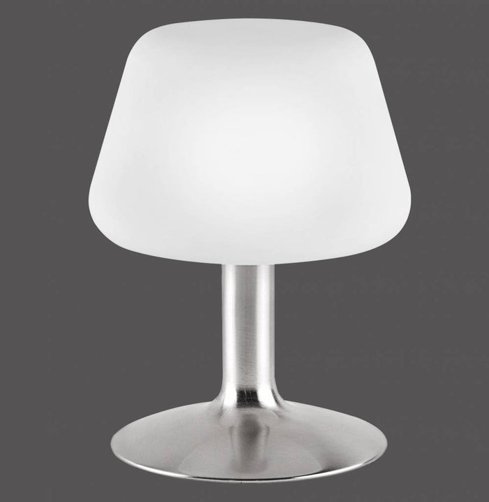 Paul Neuhaus Tafellamp TILL RVS incl. Stappendimmer