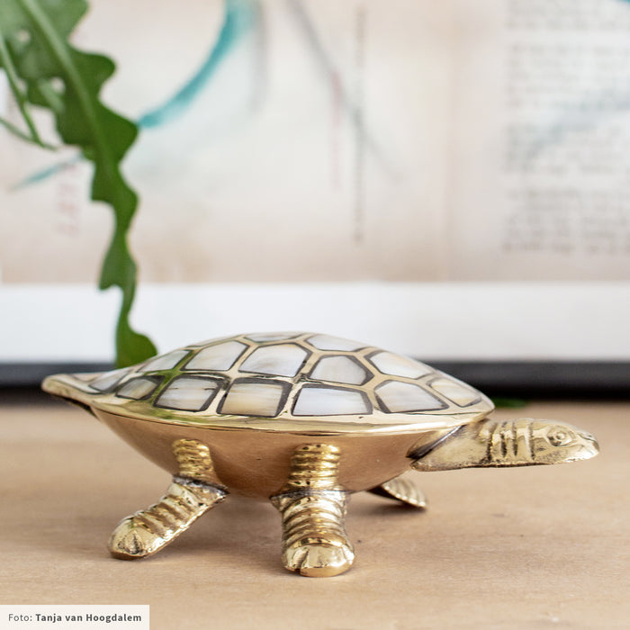 253302-x3.jpg (1757387) 