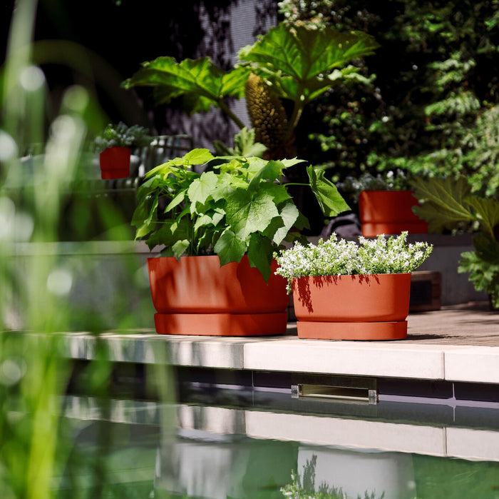 Elho Greenville Bloembak met Wielen 60 cm