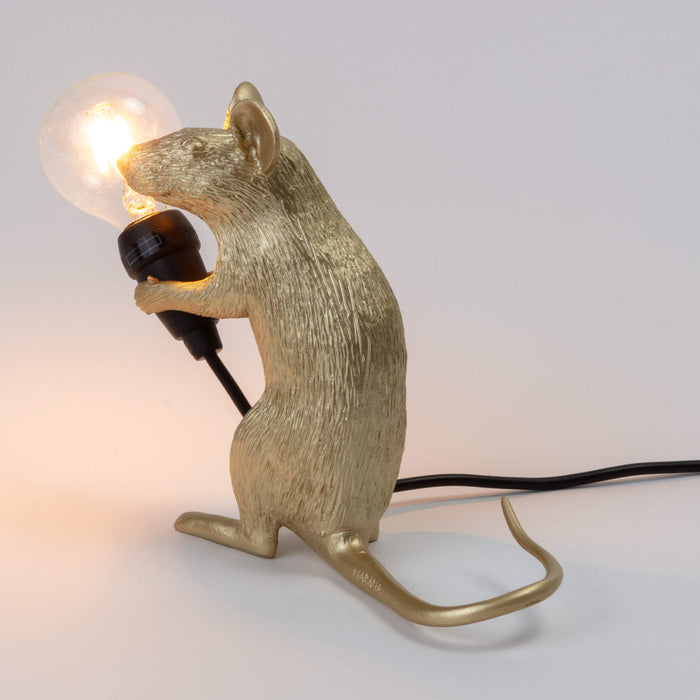 308307-x5.jpg (1769469) 