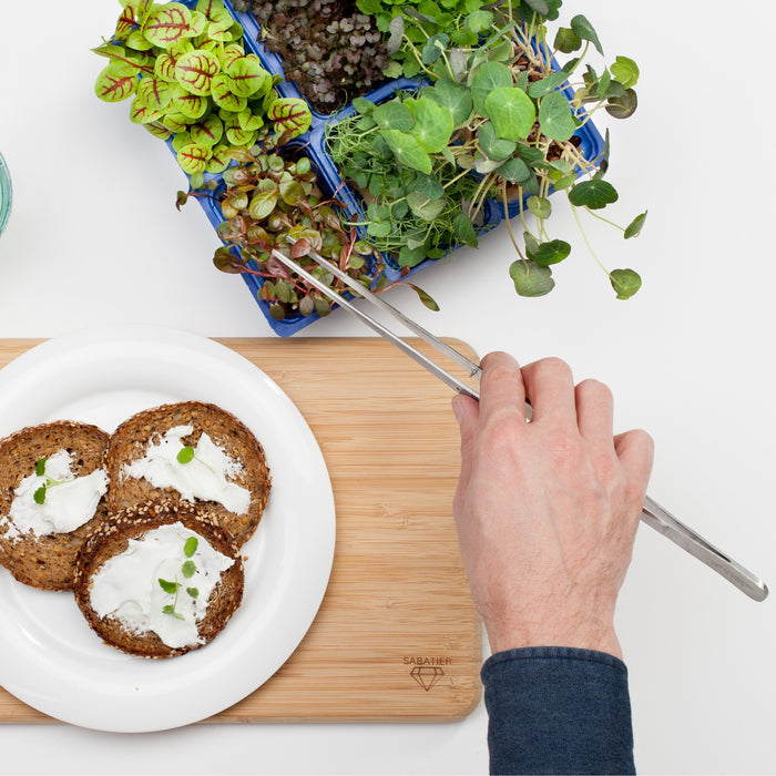 Diamant Sabatier Pincet 31 cm