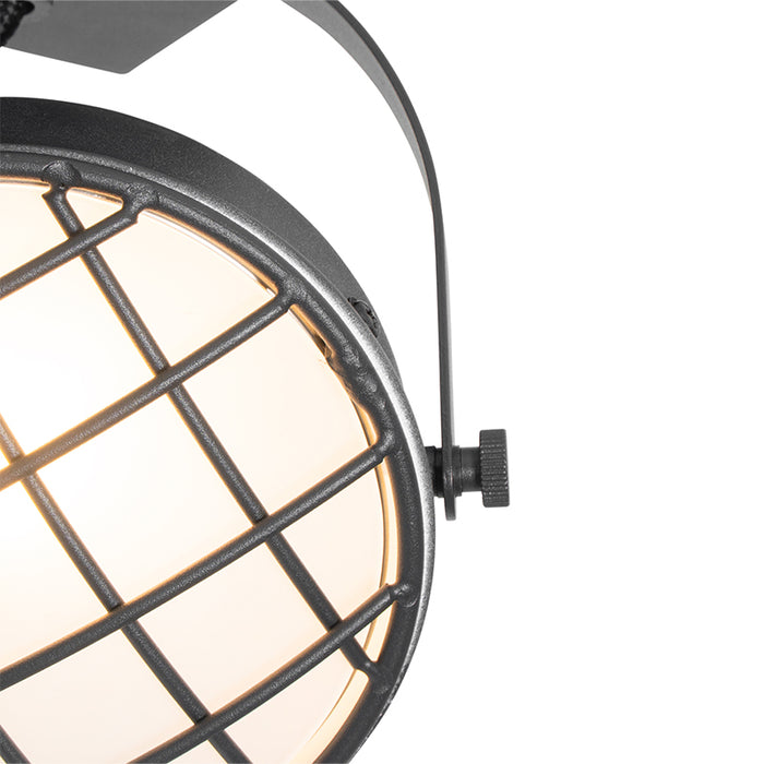 9a04665d-cdfd-495e-be27-5e255dac1d0c-afbeelding4.jpg (1771228) 