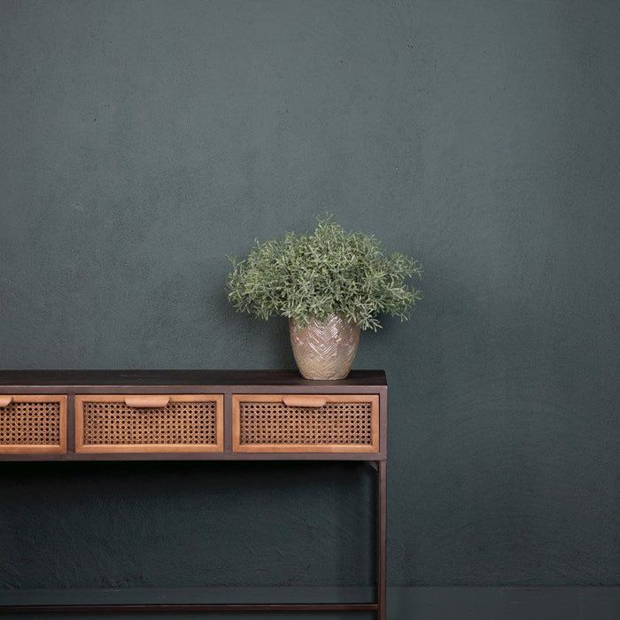 cd8c2aa7-993c-4734-b447-874adeb9e8bd-afbeelding3.jpg (1790475) 