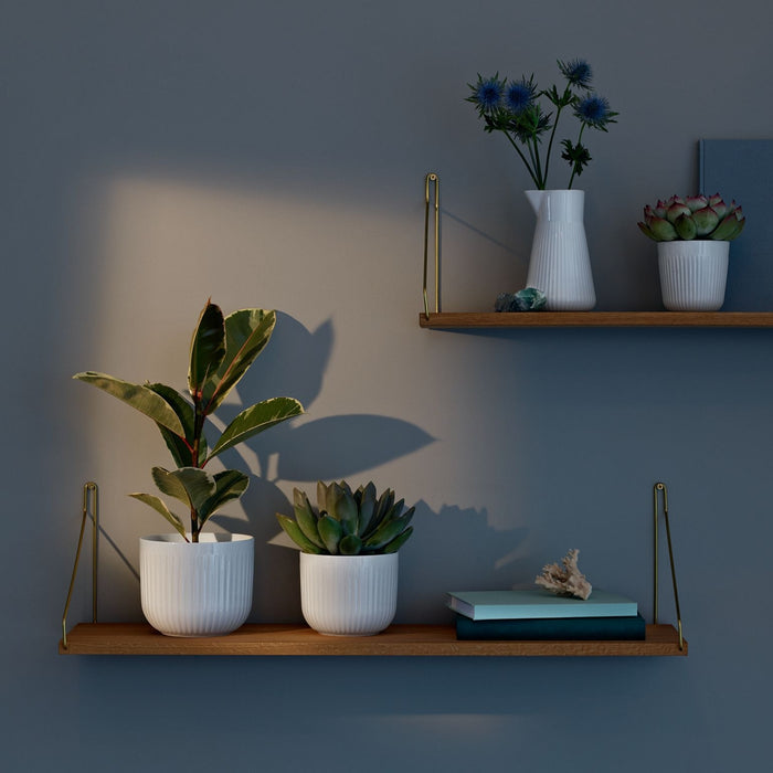 5a3ea267-5940-464d-8659-c84904606155-sfeerbeeld.jpg (1841524) 