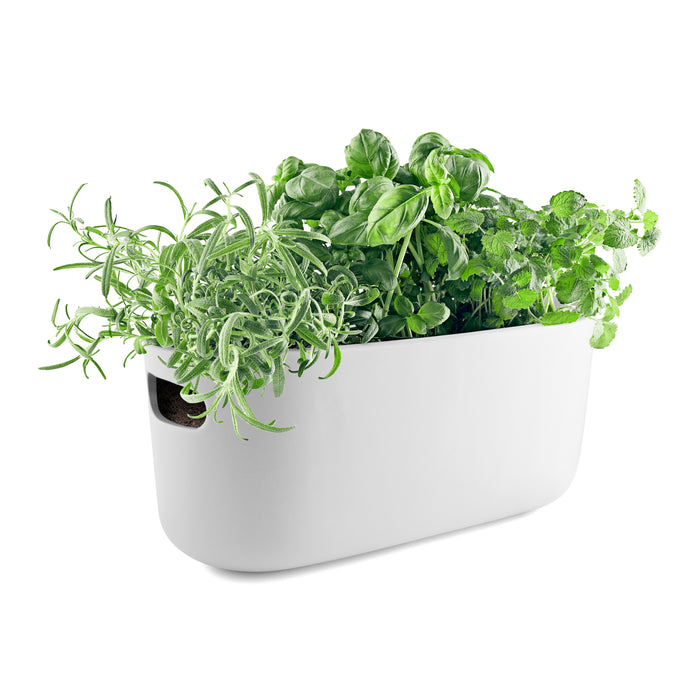 Eva Solo Kruidenpot met Waterreservoir