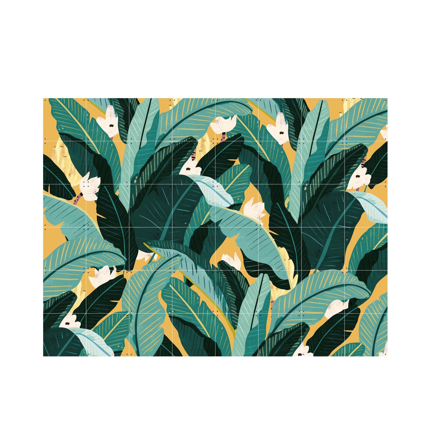 309343-x00.jpg (1853633) 