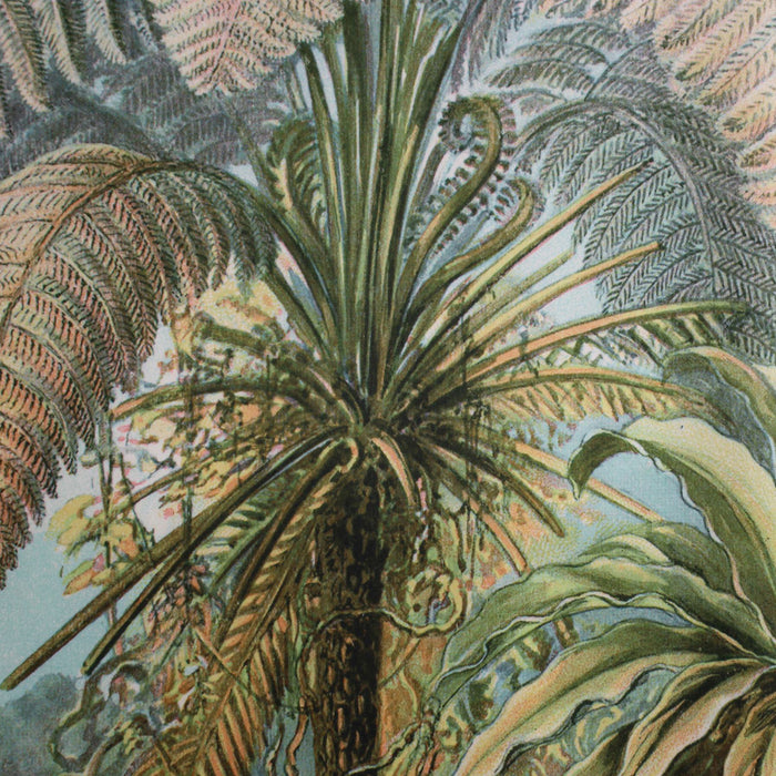 298347-x04.jpg (1869440) 