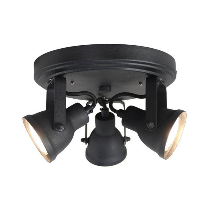 258355-1.jpg (1902981) 